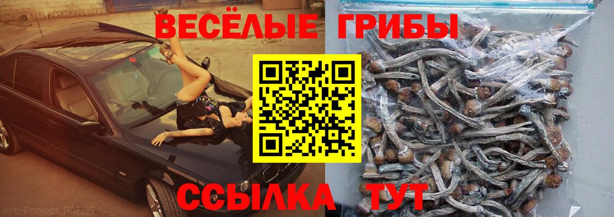Галлюциногенные грибы Cubensis Улан-Удэ