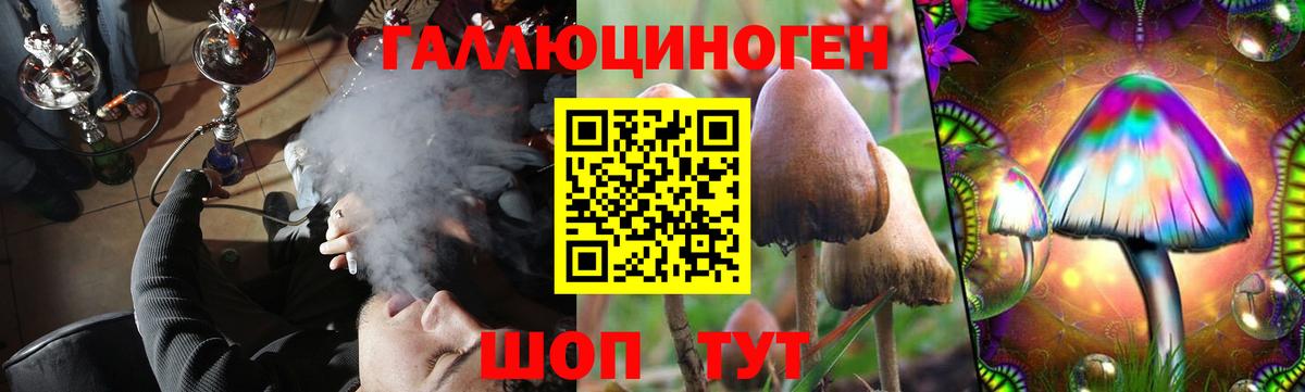 Галлюциногенные грибы Cubensis  где можно купить наркотик  Улан-Удэ  Вход с VPN 